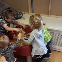 Kinderopvang in Balk