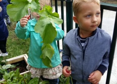 Peuteropvang De Wigwam, Beijum smakelijke moestuinen Groningen - Kids First COP groep