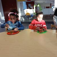 De Honingboom - kinderopvang Kids First COP groep Groningen Beijum