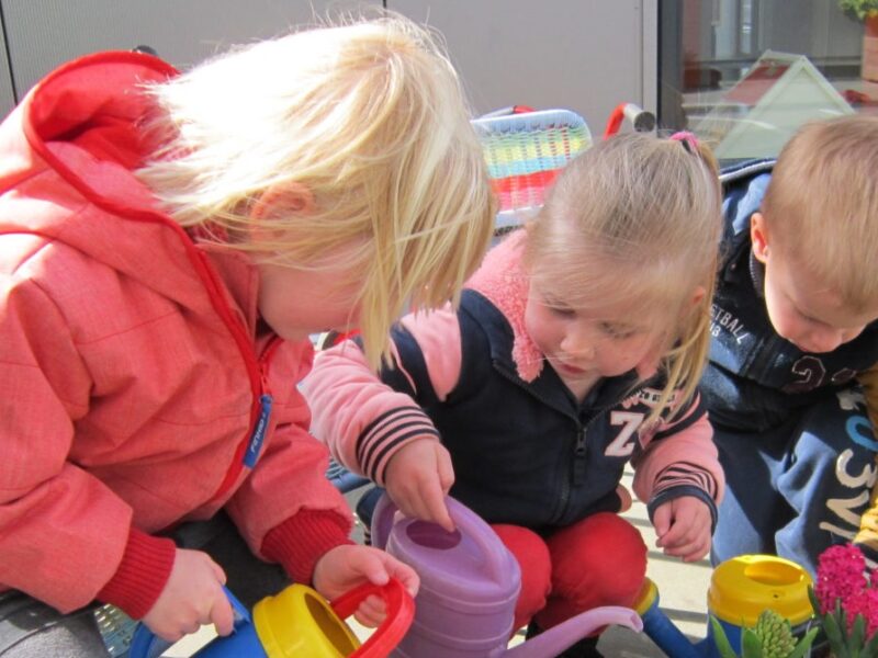 KDV Harens lyceum Zuidlaren